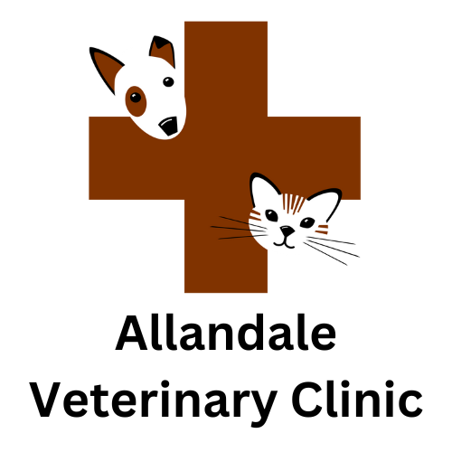 Allandale Veterinary Clinic
