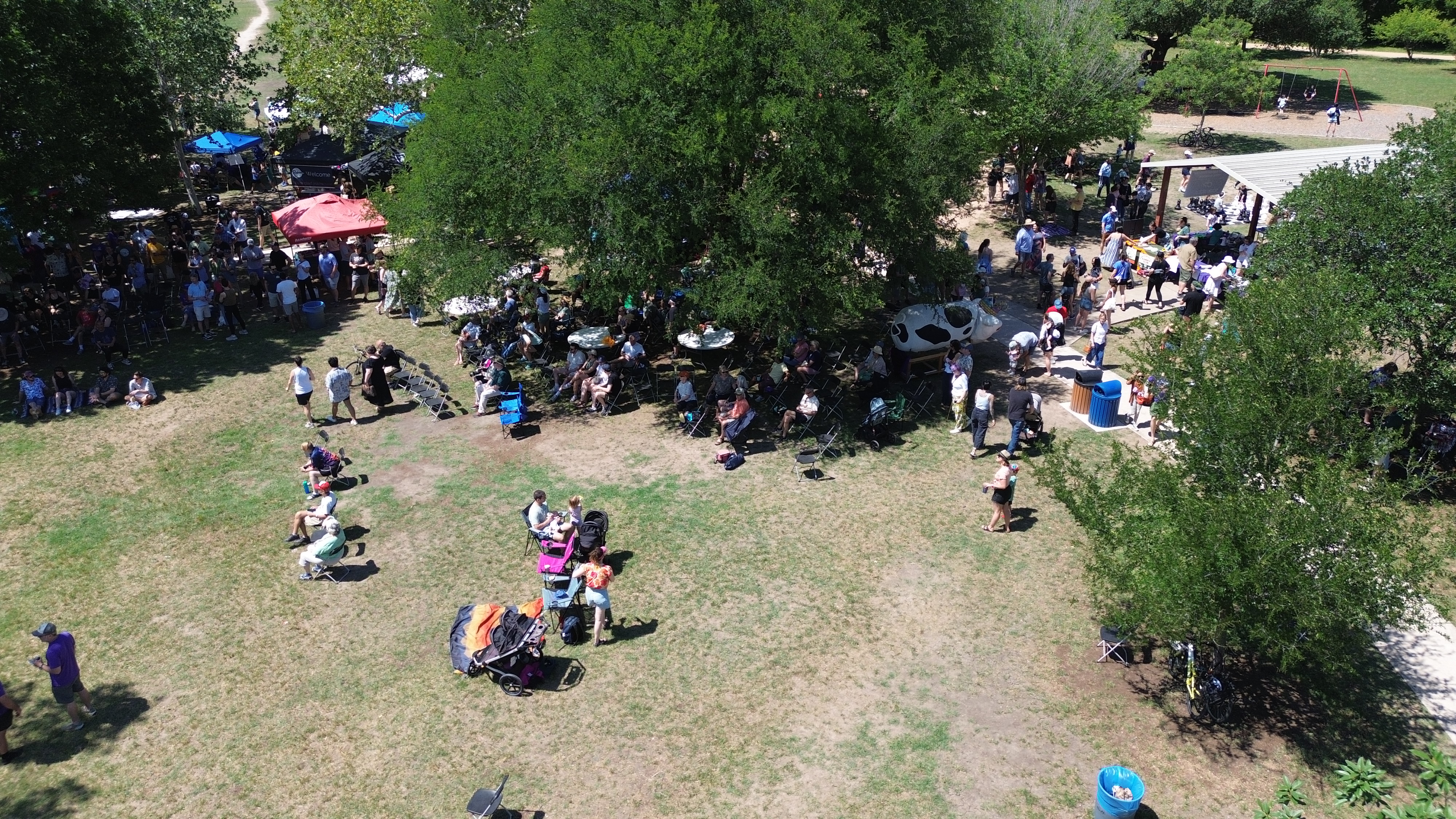 Live music at the festival